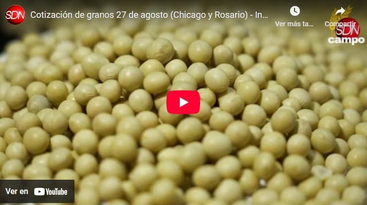 Cotización de Granos y Chicago – Informa Luis Ciucci desde la Bolsa de Comercio de Chicago
