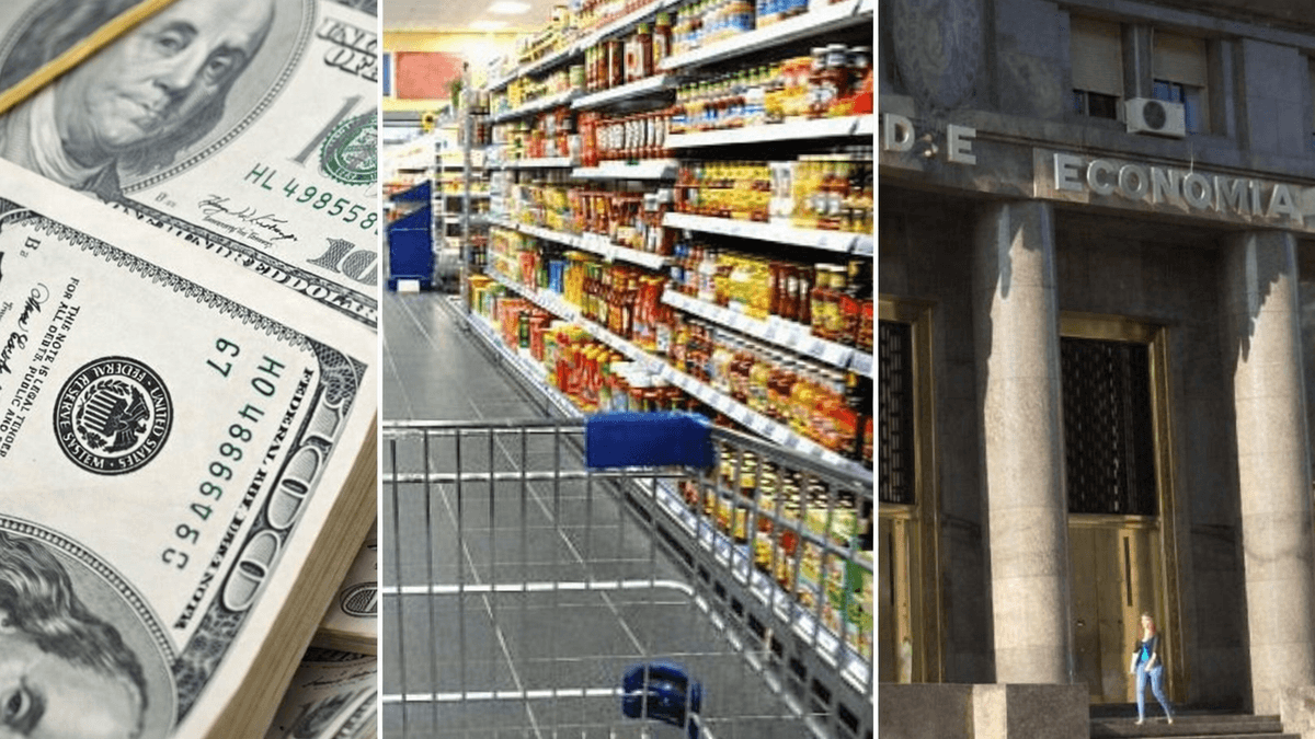 Dólar, inflación, tasas y actividad: qué esperan los gurúes del mercado para la economía en 2026