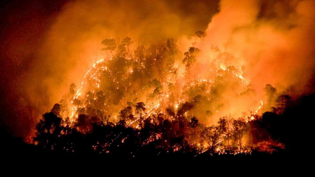 Incendios en Chile: 15 muertos y 50.000 evacuados por el avance del fuego en el sur del país