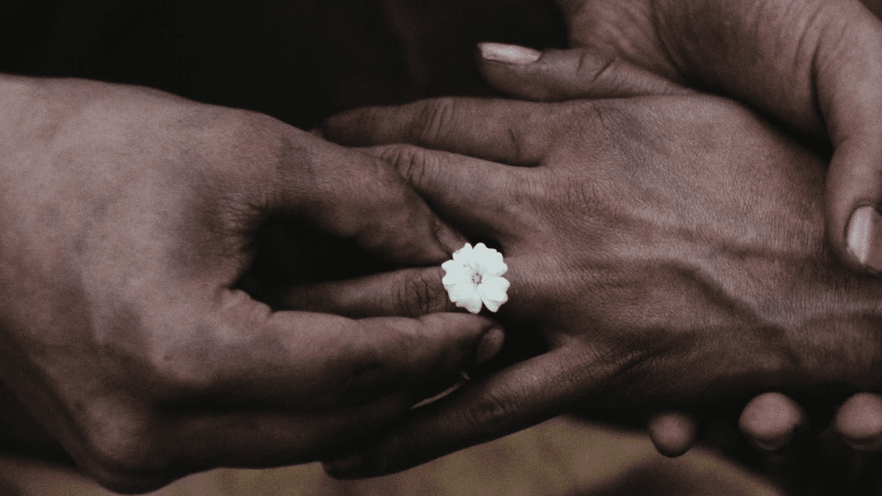 La mejor película de la semana nos vendió el evento romántico del año y luego nos sorprendió por dónde menos lo esperábamos